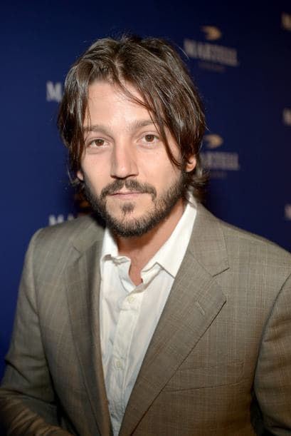 Ahora se ha convertido en un prestigioso actor y director de cine. Entre sus principales participaciones en Hollywood están "Frida", "The Terminal" y "Milk".