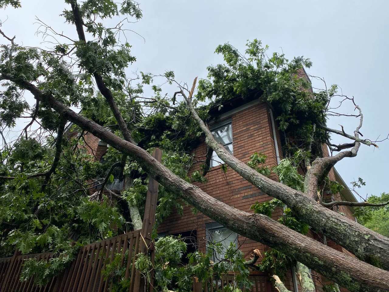 El Departamento de Bomberos de Harrisburg reportó daños por la tormenta en Camelot.