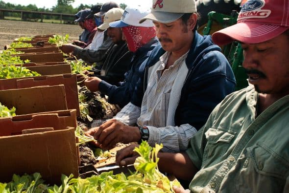 TENESÍ " Este estado también obligará a las empresas a asegurarse de que sus empleados están autorizados legalmente a trabajar en Estados Unidos, pero eximirá a los empleadores con cinco trabajadores o menos, al permitirles pedir una copia de la licencia de conducir del nuevo empleado, en lugar de usar el sistema E-Verify.