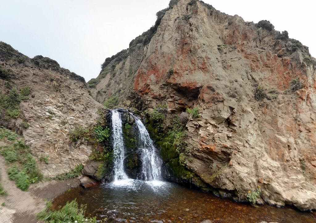 Esta peculiar cascada se encuentra escondida en lo profundo de Phillip Burton Wilderness. Cae desde un acantilado de unos 30 pies de altura sobre la playa Wildcat, donde podrán disfrutar impresionantes vistas de la costa de Point Reyes National, varios lagos, y bosques. Aunque es una caminata difícil, el viaje de ida y vuelta de ocho millas es bastante gratificante.
<br>