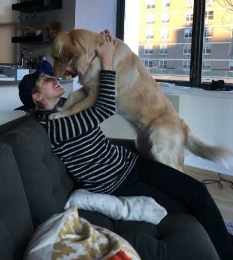 Pero a veces las cosas salen de control y los animales atacan.