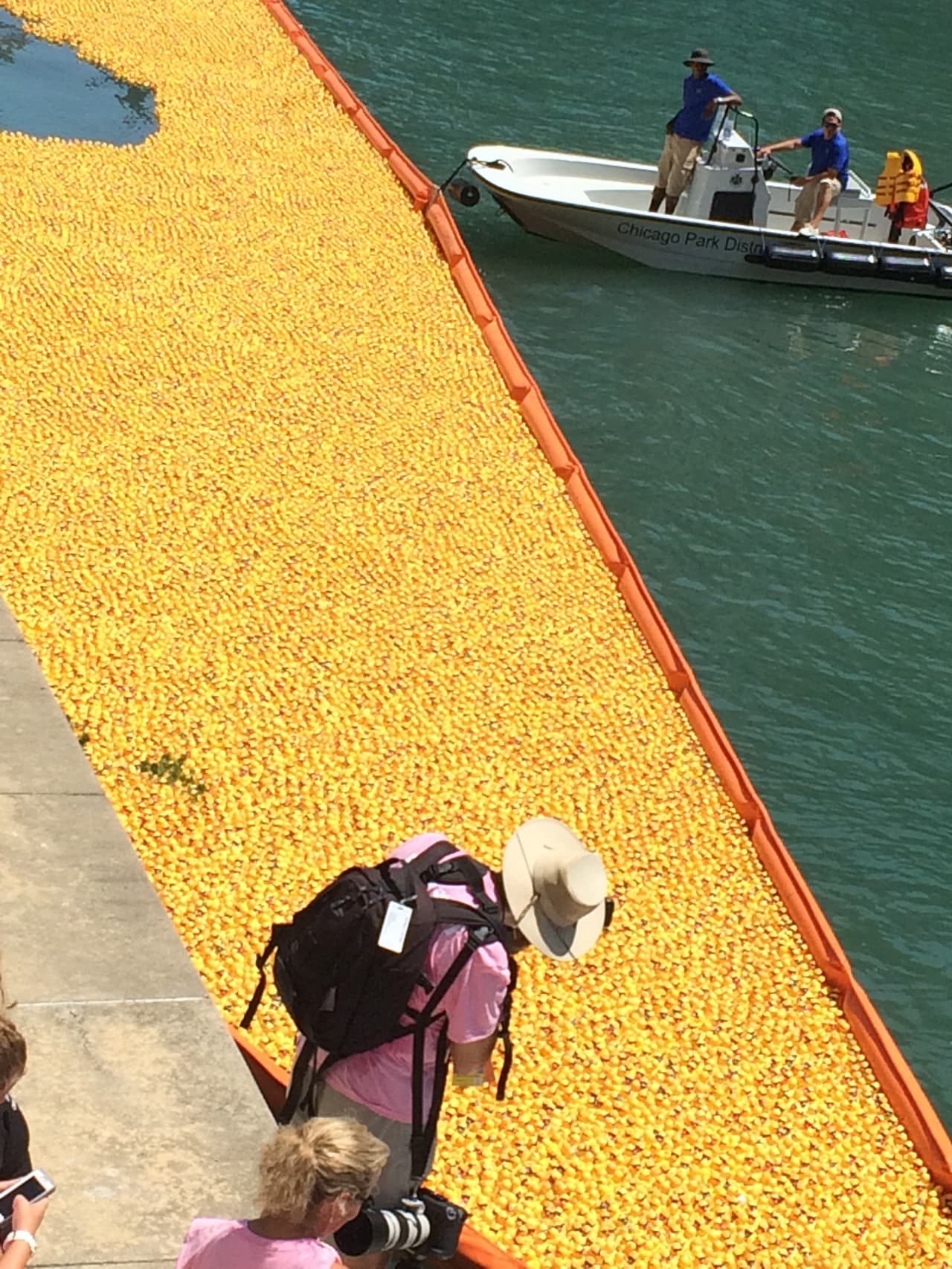 Más de 60,000 patitos fueron lanzados al río y cada uno representaba a una persona u organización que los adoptó.