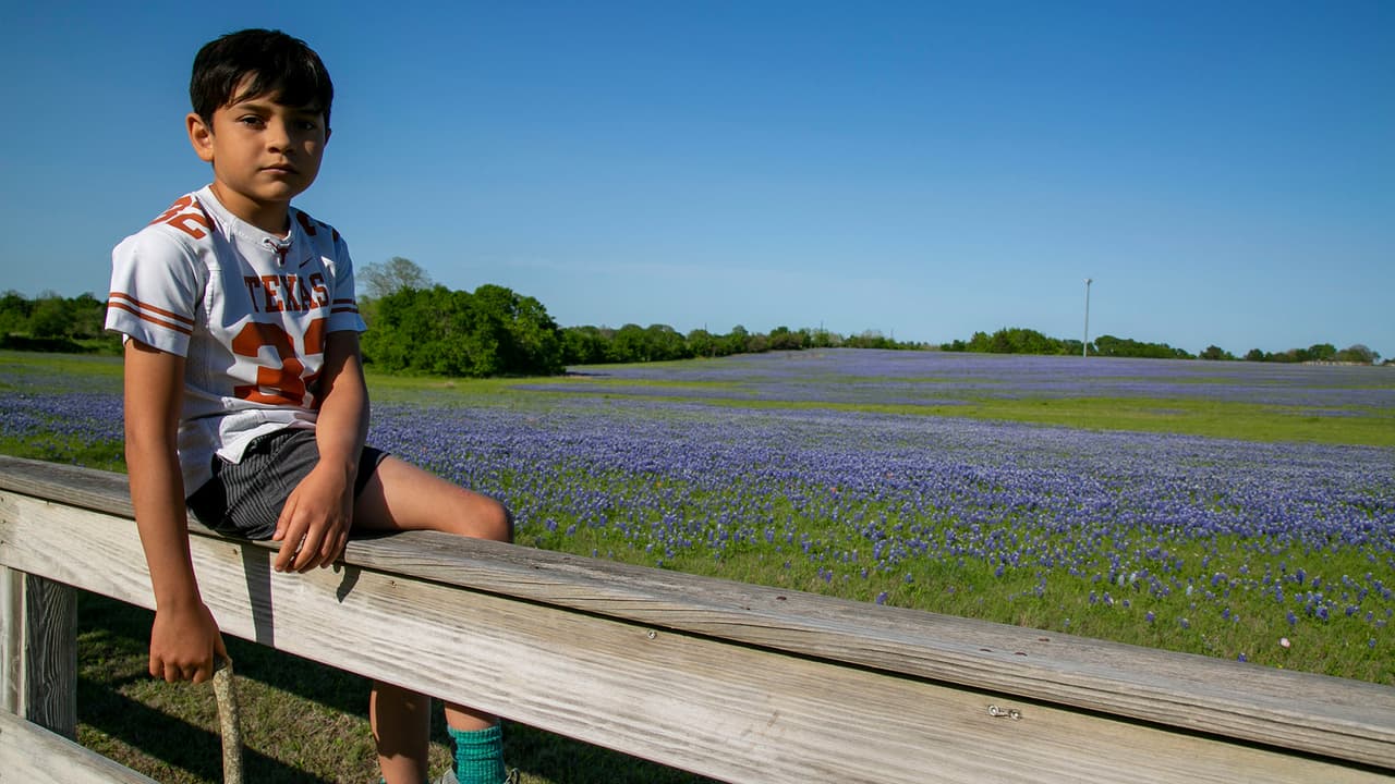 Así que antes que termine su floración, anímese a visitar alguno de estos campos para admirar la flor de Texas y tener un bonito recuerdo en fotos.
<br>