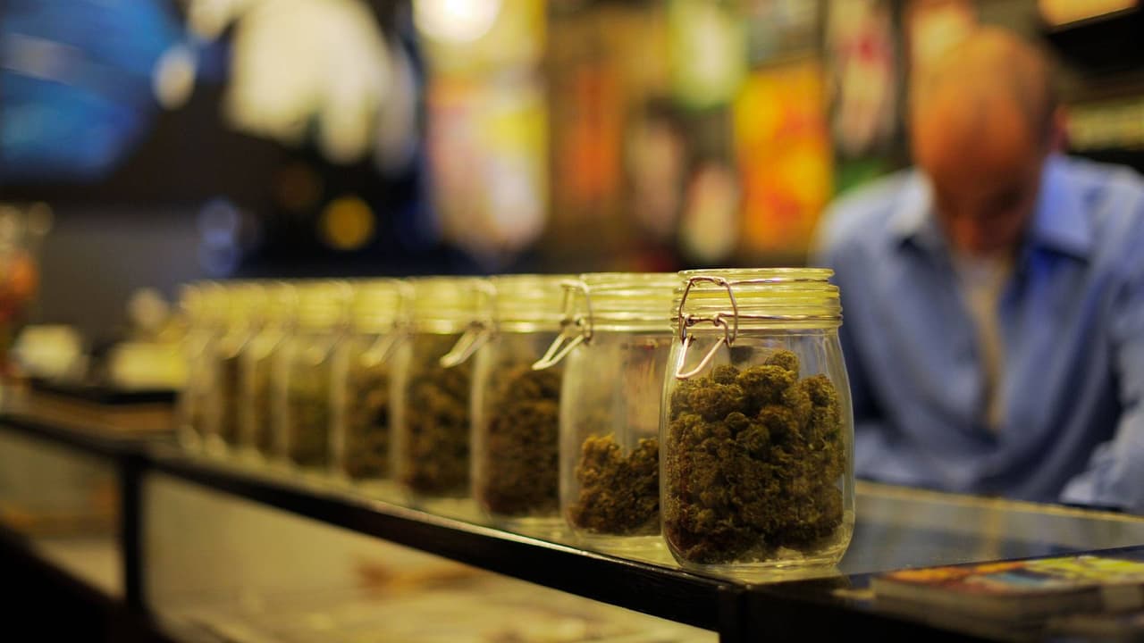 Entra en vigor norma en Texas que prohíbe vender a menores productos derivados de la marihuana