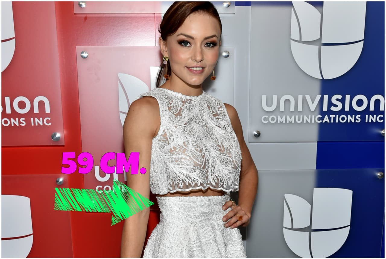 Angelique Boyer tiene una figura que ha enloquecido a Sebastián Rulli.