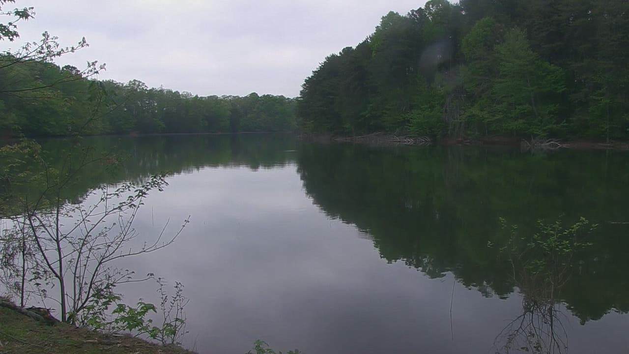 Continúa la búsqueda del hombre de 29 años que saltó desde un bote al Lago Lanier