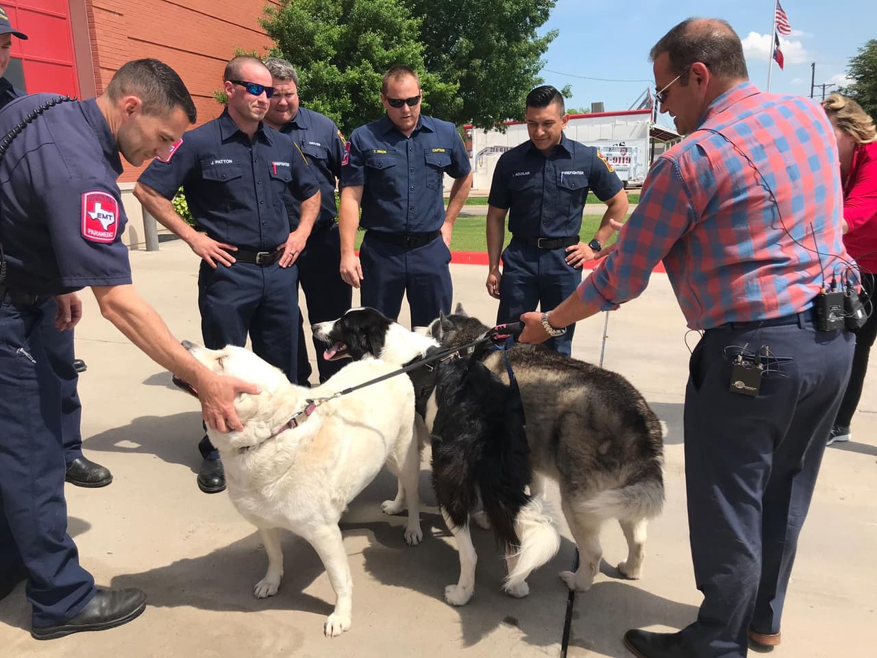 Luis Aguilar, bombero de McKinney, dijo que los bomberos solo tenían días que fueron entrenados para este tipo de rescate.
<br>