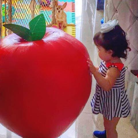 Ana Patricia: "Giulietta & Honey revisando la piñata. Camino al cumple de hemoshina". (Mayo 3, 2016)