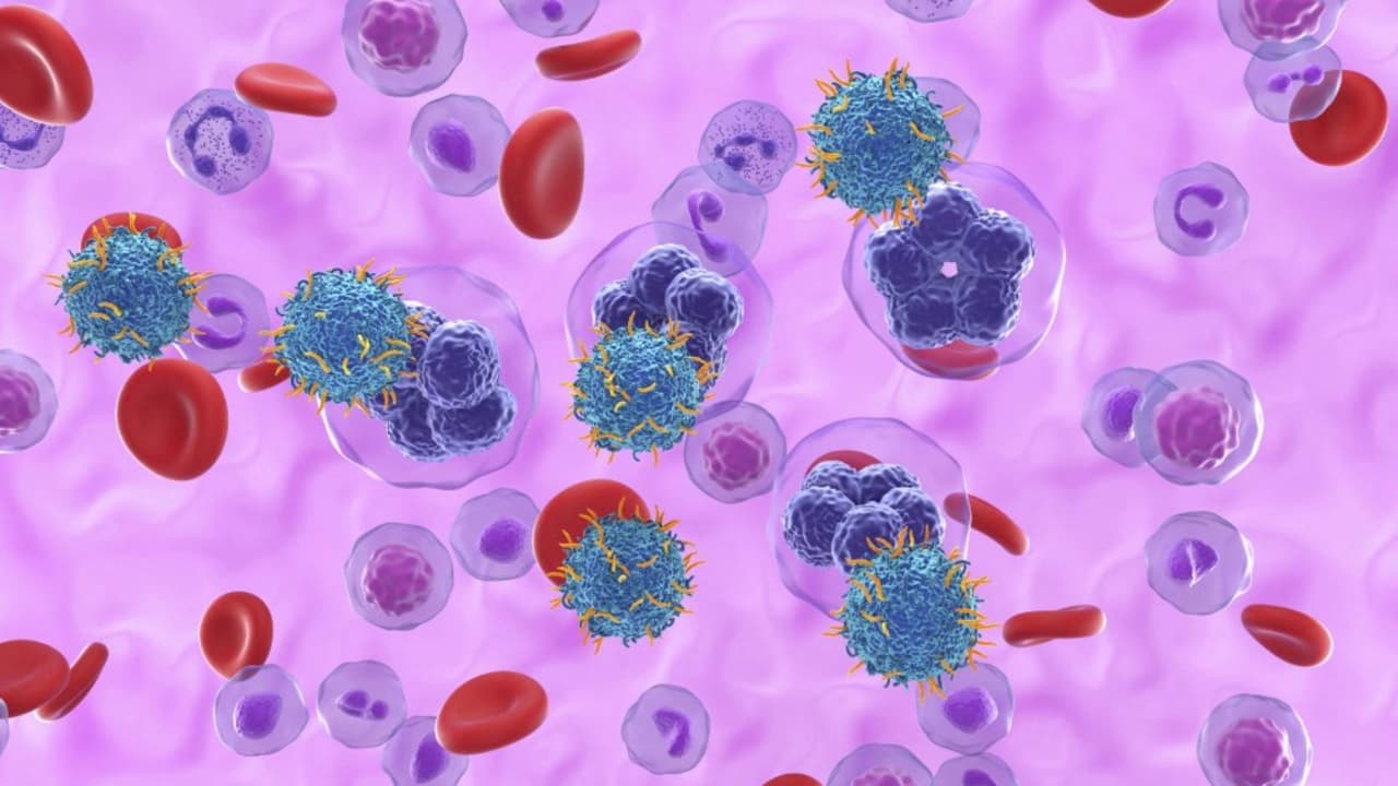 Aumenta la esperanza de vida en EEUU cinco años, tras diagnóstico de cáncer