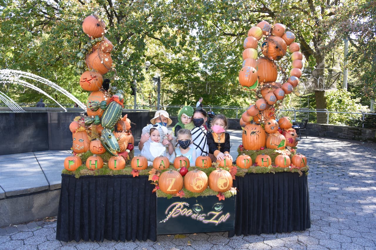 La entrada es gratuita para los socios con reserva anticipada online y con el precio habitual de entrada.