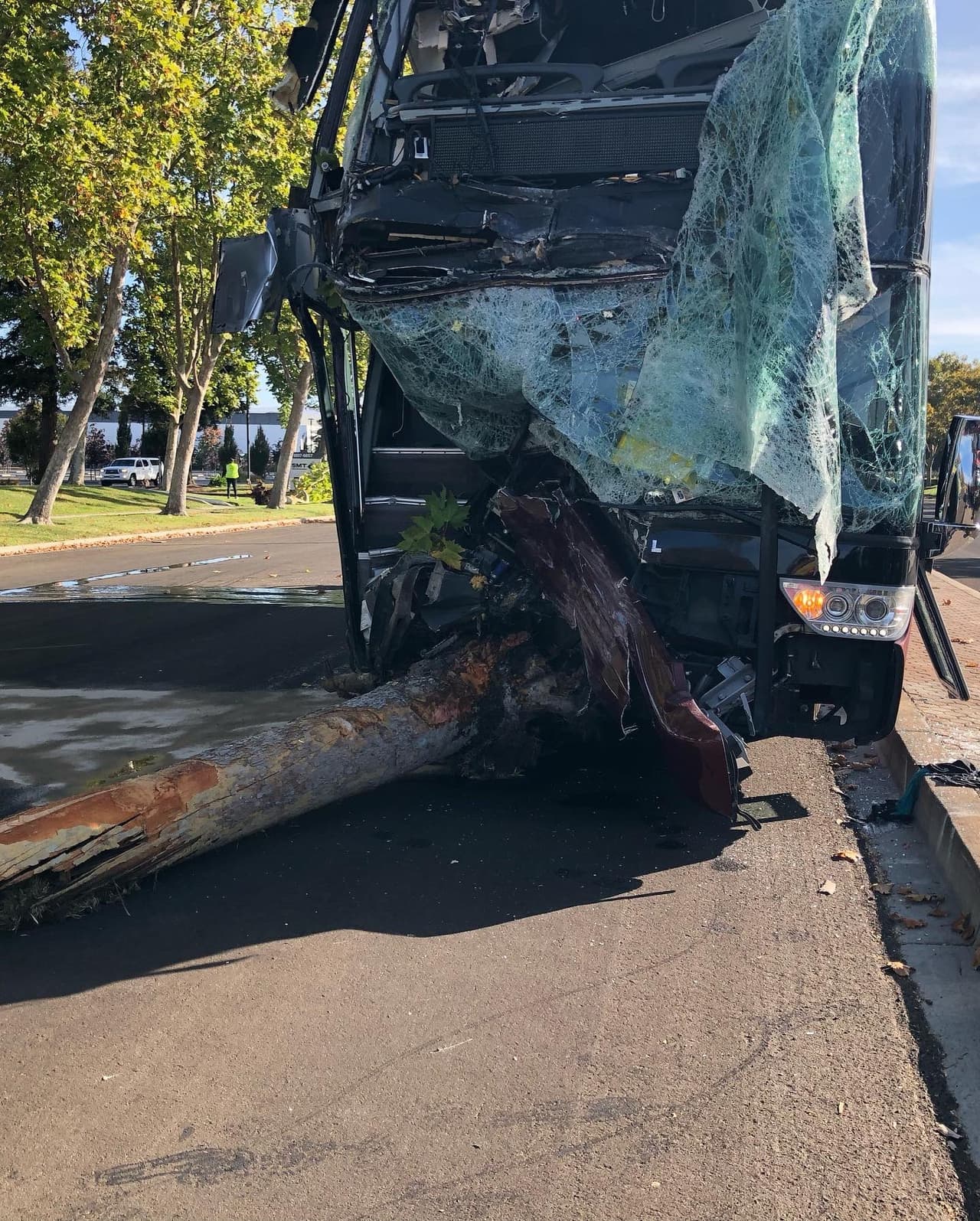 El conductor de un autobús de dos pisos golpeó varios árboles antes y un árbol se incrustó en la parte delantera del vehículo.
<br>