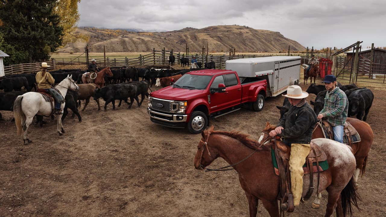 <h3 class="cms-h3-H3">Ford F-450 Super Duty 2020 con opción Dually</h3>