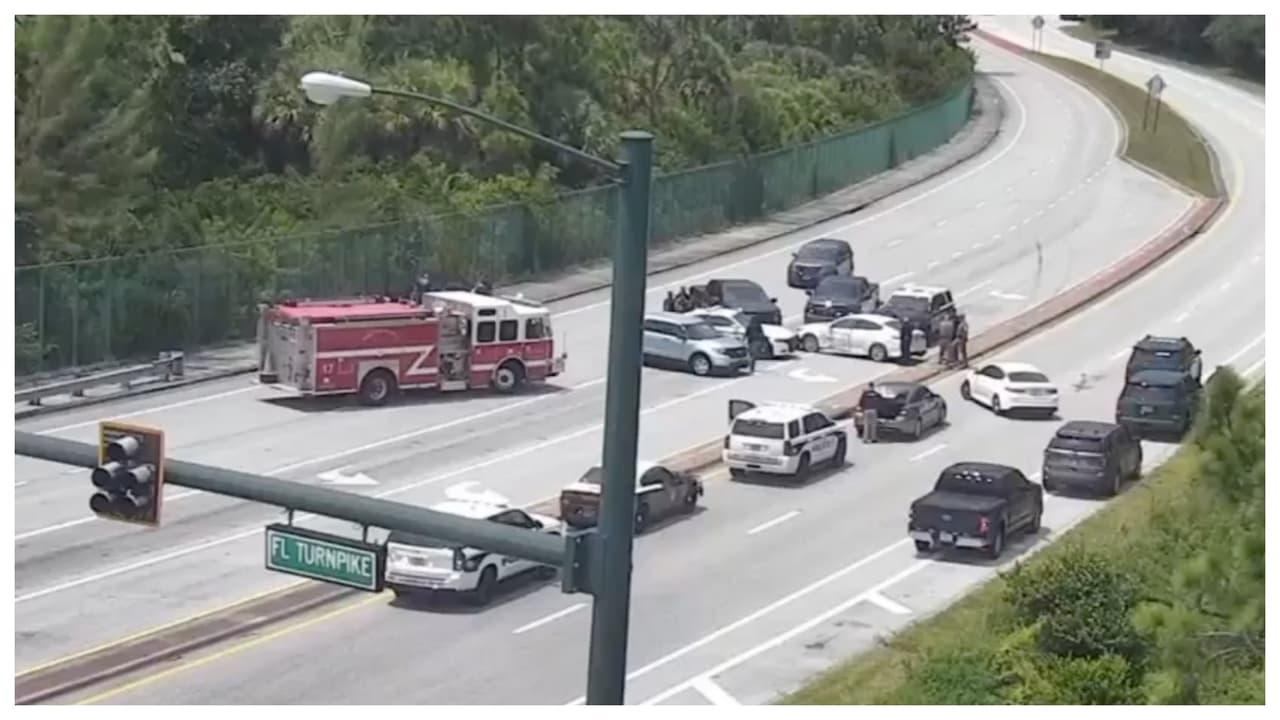 Arrestan a sospechoso de robo de auto tras persecución policial que comenzó en Fort Lauderdale