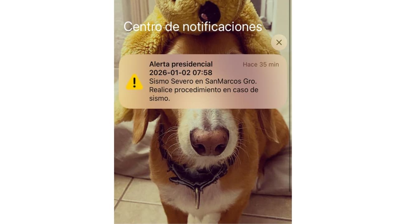 El sismo tuvo una magnitud de 6.5, según el Servicio Geológico de Estados Unidos.