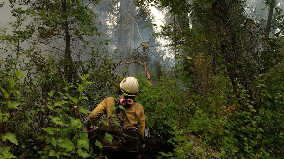 <a href="https://www.fs.usda.gov/lassen/" target="_blank">Bosque Nacional Lassen</a> fue afectado por el incendio Sheep que consumió 29,570 acres y que ya fue controlado en un 100%.