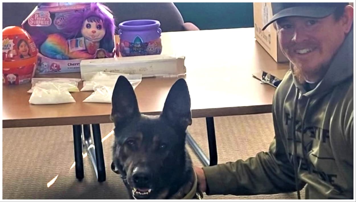 Delincuentes intentaban transportar metanfetamina escondida dentro de juguetes