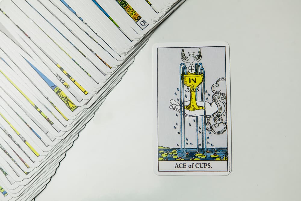 <b>SAGITARIO</b>
<br>Para ti tengo el as de copas que trae estabilidad y felicidad en todos los asuntos relacionados con el hogar y la familia.
<br>