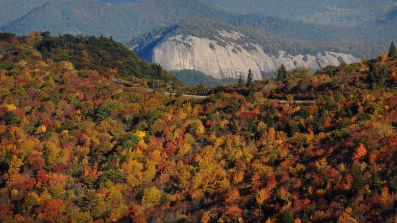 <b>SORPRÉNDETE CON BREVARD</b>. Justo en las montañas Blue Ridge, el acogedor Brevard y sus áreas naturales circundantes ofrecen actividad más que suficiente para un largo fin de semana de vacaciones. Salga al aire libre en el Bosque Nacional Pisgah, donde puede caminar hasta Looking Glass Rock. Estos y otros parques cercanos ofrecen kayak, escalada, ciclismo de montaña, cascadas y más. O puede ir al centro para hacer compras y probar sus restaurantes.