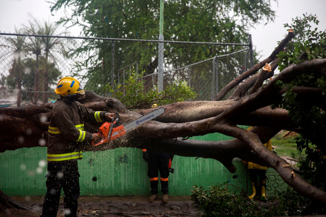Los bomberos y los miembros del equipo de rescate cortaron las ramas de un árbol que cayó bajo la fuerte lluvia.