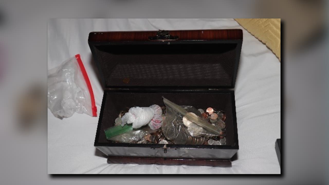 Los acusados participaron en por lo menos 200 robos, según el Departamento de Policía de Gwinnett.