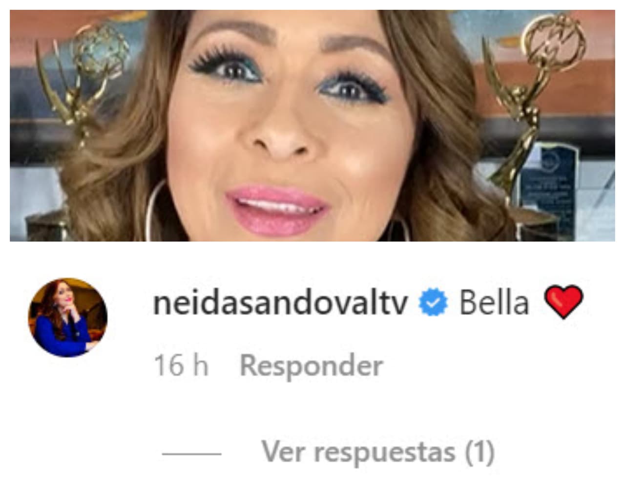 Neida Sandoval, una de las más queridas presentadoras que han pasado por los
<b><a href="https://www.univision.com/shows/despierta-america/no-quiero-presentadores-quiero-una-familia-asi-fue-como-comenzo-despierta-america-hace-25-anos-video" target="_blank">25 años de Despierta América</a></b>, también reaccionó a cómo luce actualmente su colega.
<br>