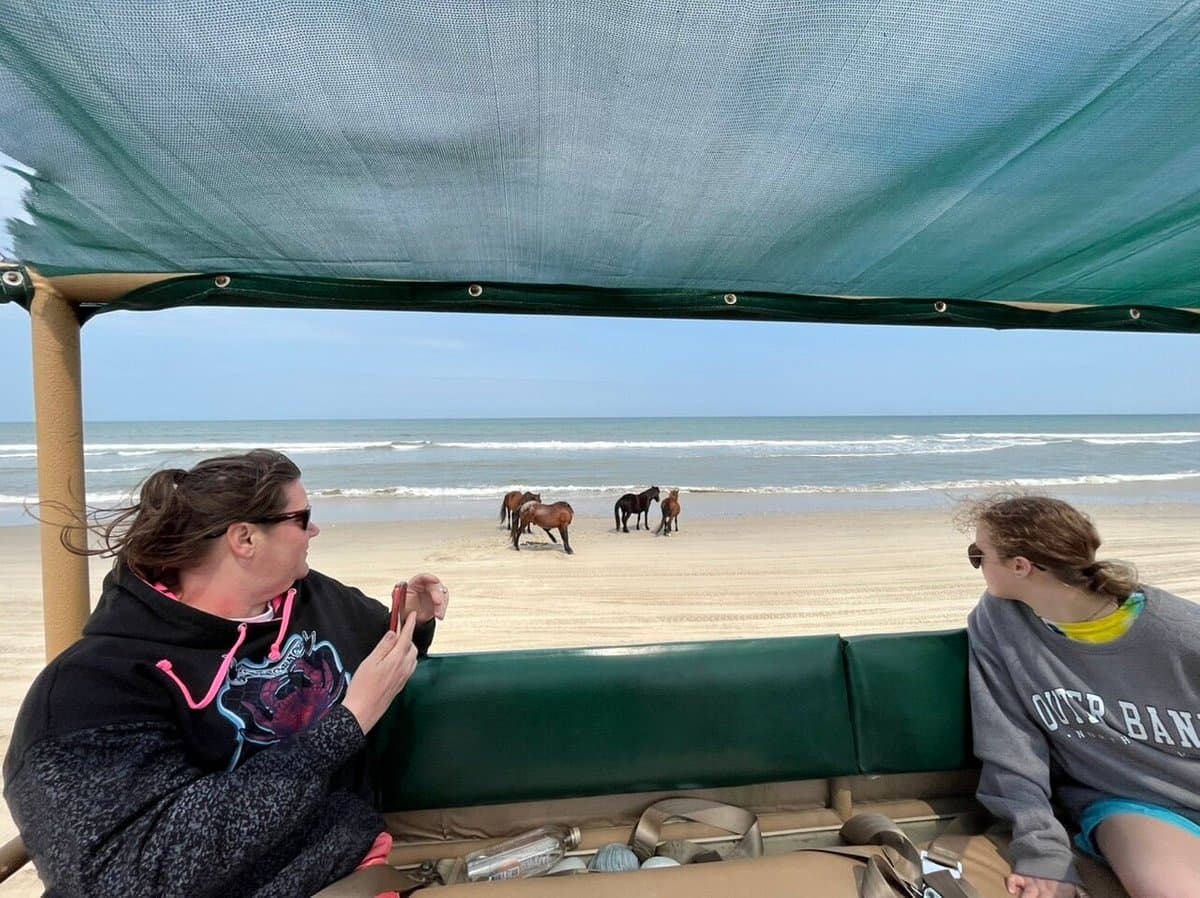 <a href="https://www.tripadvisor.com/AttractionProductReview-g49058-d12647914-2_hour_Outer_Banks_Wild_Horse_Tour_by_4WD-Corolla_Outer_Banks_North_Carolina.html"><b>Aprecia la belleza de la fauna de the Outer Banks</b></a>. En el denominado '2-hour Outer Banks Wild Horse Tour by 4WD' podrás disfrutar de un encuentro cercano con los caballos salvajes de Corolla, en esta aventura de observación de vida silvestre en grupos pequeños por los Outer Banks. Accede a las dunas de arena remotas con facilidad a bordo de un vehículo con tracción en las 4 ruedas, equipado con una capota para disfrutar de vistas despejadas del área de conservación, y aprovecha el conocimiento de tu guía profesional para optimizar tus posibilidades de ver potros, sementales y más vagando libremente en la naturaleza.