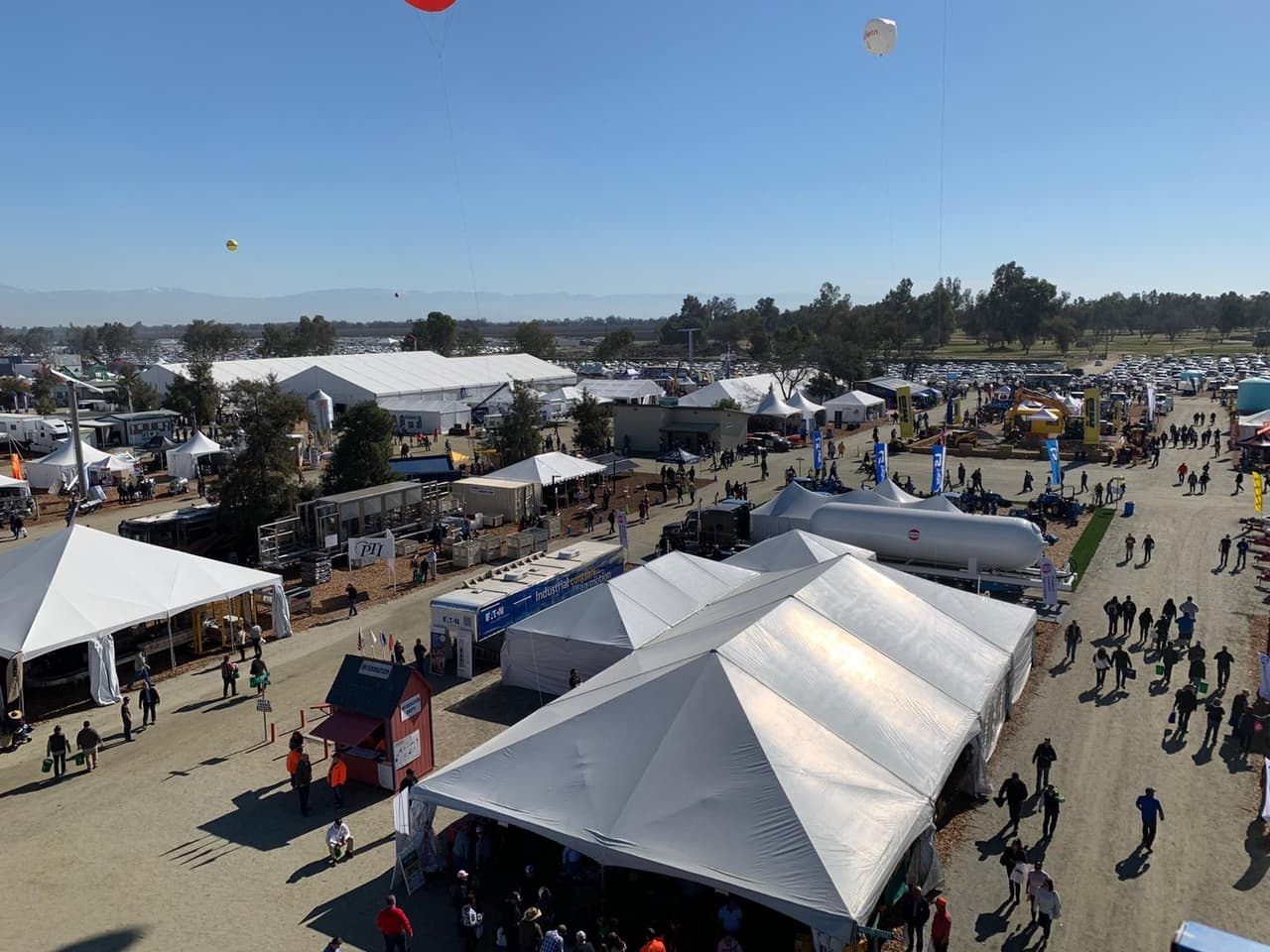 Luego que en el 2018 se aprobara una ley que permite la producción de cáñamo industrial, el interés de agricultores por innovar en ella ha ido creciendo paulatinamente.