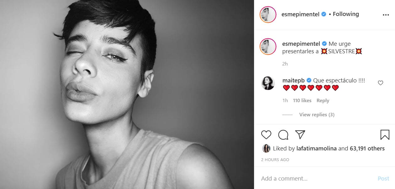 La tarde de este 27 mostró su nuevo 'look' y escribió: "
<b>Me urge presentarles a Silvestre</b>", aunque no dio detalles del proyecto.
<br>