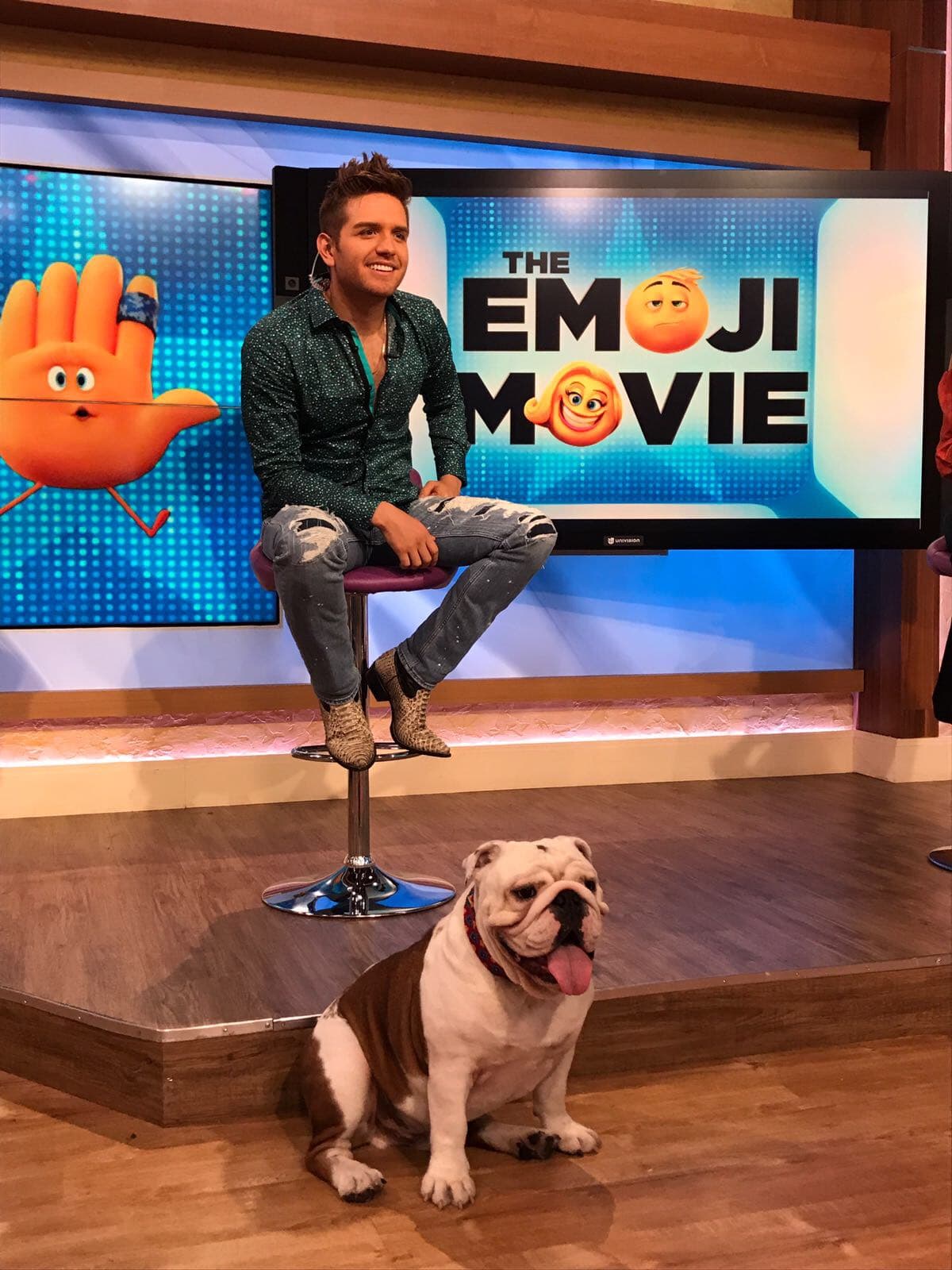 Benito es toda una estrella, a él le encanta posar junto a su amo frente a las cámaras.