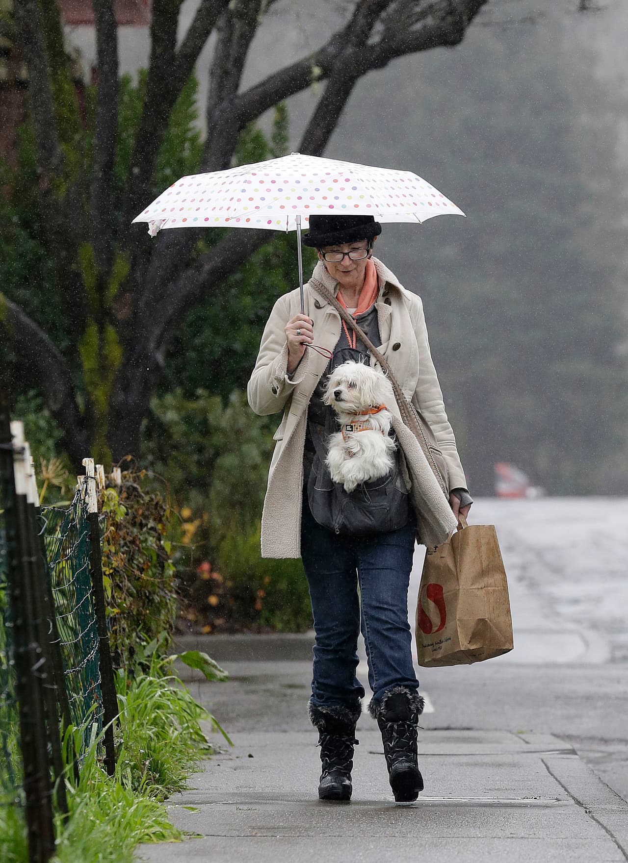 Guerneville, en el condado de Sonoma, fue una de las localidades que terminaron inundadas tras las fuertes lluvias. El sábado 7 de enero, una vecina anticipaba lo que estaba por venir y resguardaba a su perro en una bolsa.