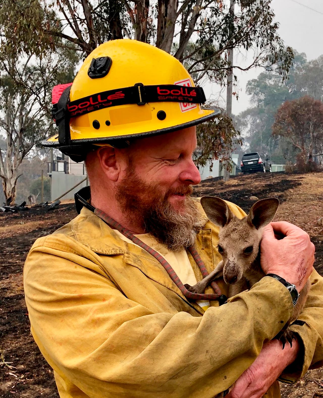 Dave Soldavini, uno de los bomberos enviados por Estados Unidos para ayudar con la emergencia en Australia, sostiene un bebé canguro que fue rescatado en Cobrunga, en el sur del país. Los fuegos se han cobrado la vida de 29 personas y han afectado a más del 80% de las áreas donde habitan algunas de las especies afectadas.
