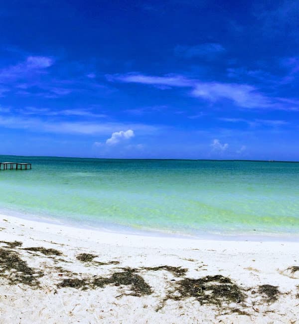 Playa Río Lagartos, en la Reserva de la Biósfera Ría Lagartos, en el estado de Yucatán, obtuvo 130 NMP/100 ml
<br>