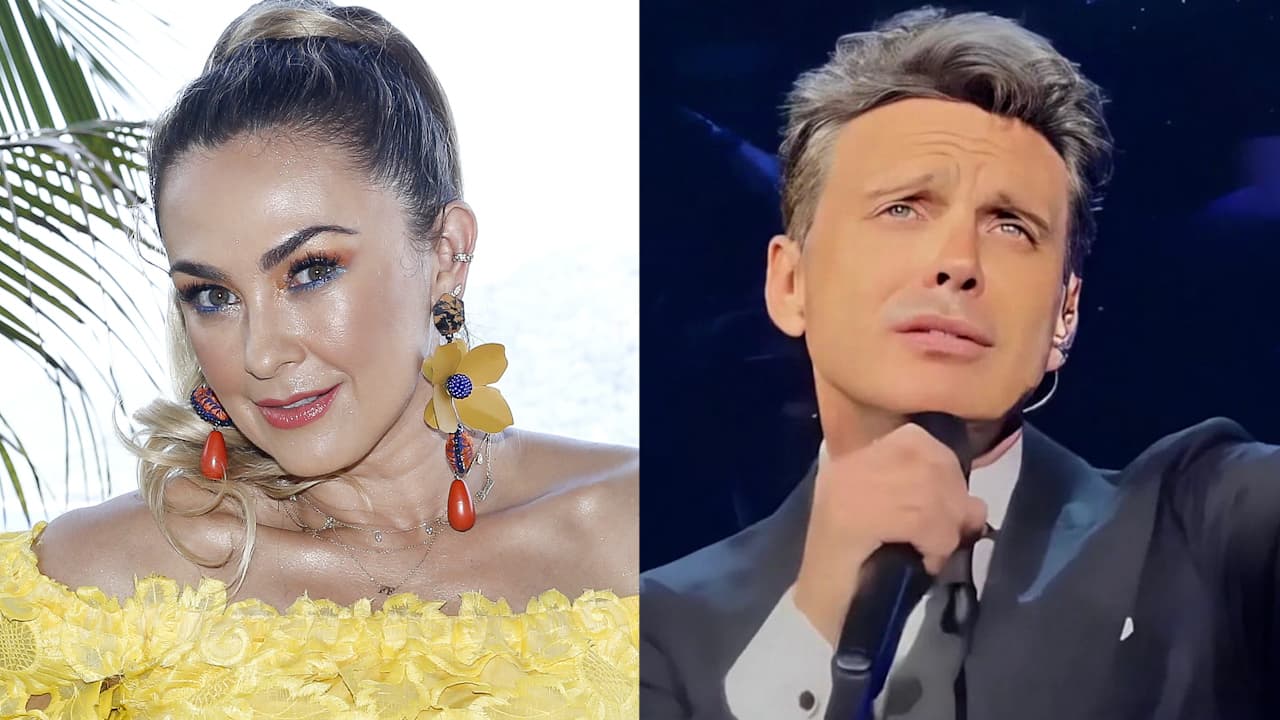 Luis Miguel y Aracely Arámbula: así fue el conflicto legal por la pensión alimenticia de sus hijos
