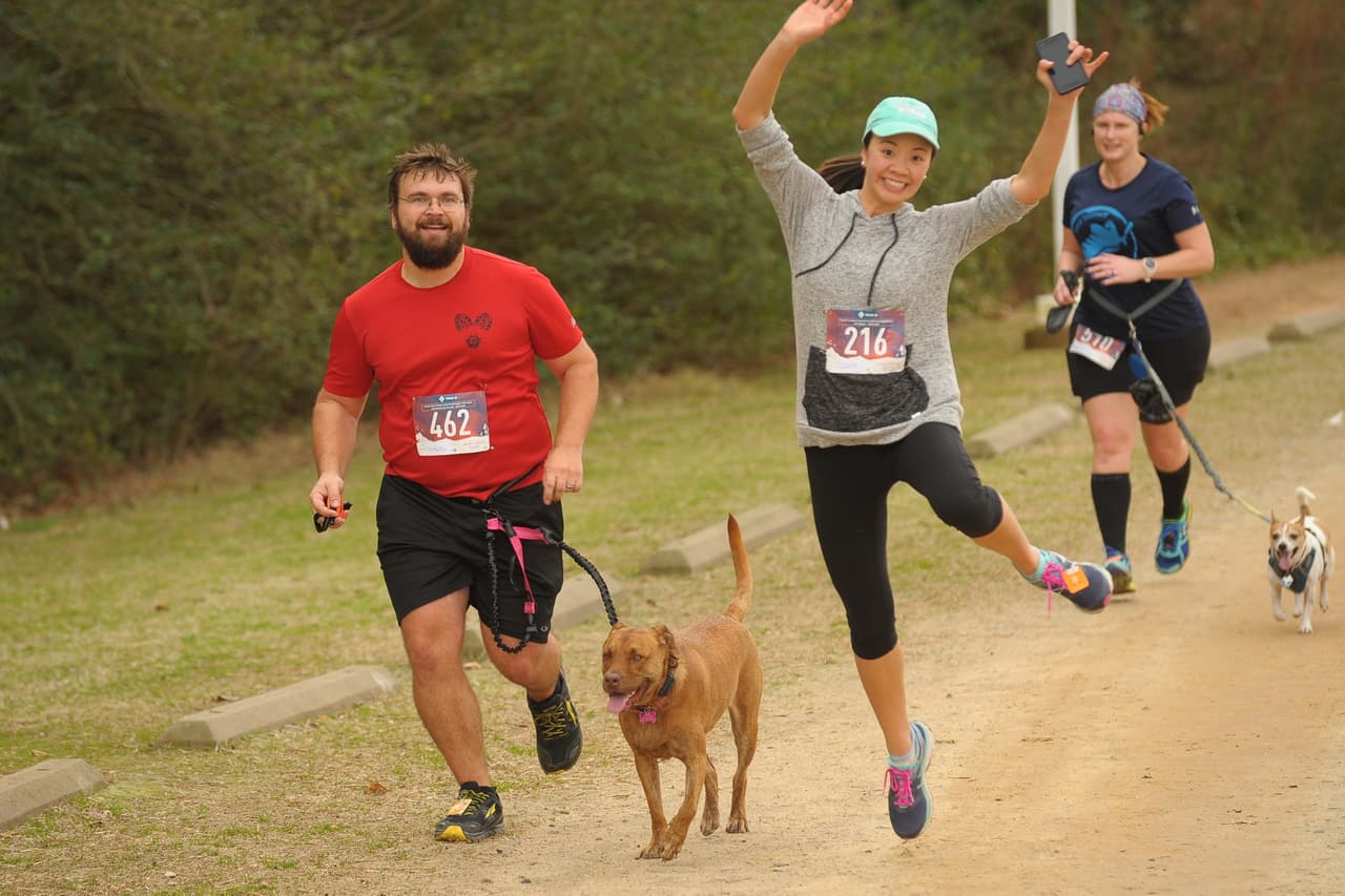 <b><a href="https://runsignup.com/Race/NC/Cary/MuttsandMarshmallows" target="_blank">Mutts and Marshmallows 5K, 8K, Fun Run (8 de enero)</a></b>: Una carrera divertida con amigos y una gran taza de chocolate caliente. Todos los que terminan la carrera reciben una gran taza y una medalla, todo el chocolate caliente que puedan beber, y todas las entradas de perros son para apoyar a la SPCA del condado de Wake.