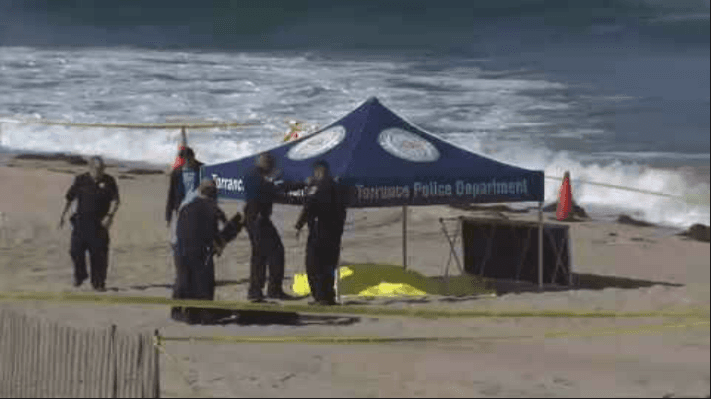 La causa de la muerte está bajo investigación, sin embargo los cuerpos no mostraron signos evidentes de trauma, de acuerdo con el sargento de policía de Torrance, Alexander Martinez.
<br>