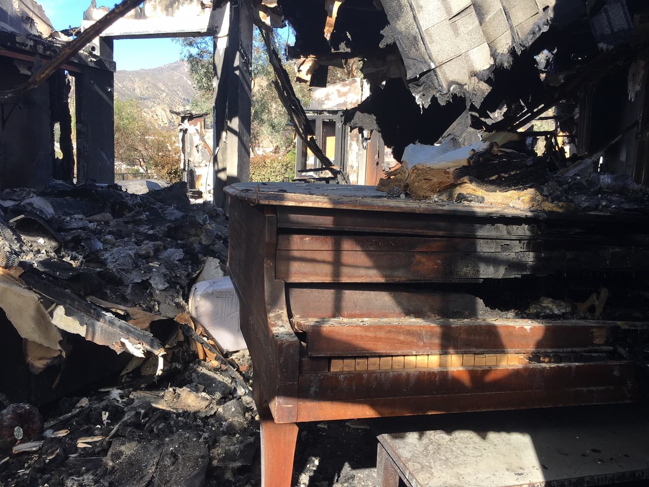 En Sylmar, una comunidad en el norte de la ciudad de Los Ángeles, más de 110,000 personas tuvieron que ser evacuadas por el 
<b>fuego Creek</b>, donde la lumbre ha matado a decenas de animales de corral. Tan sólo en un establo fueron localizados 29 caballos calcinados.