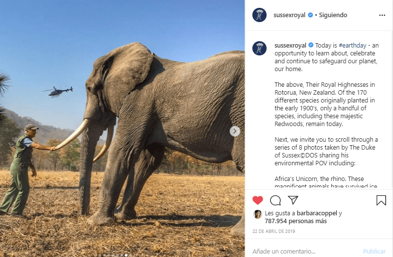 En una serie de fotografías de vida salvaje que fueron publicadas en la cuenta de los duques de Sussex el 22 de abril de 2019, mostró a diversos animales en su hábitat. Destaca la imagen de un elefante junto a un hombre que le toca uno de sus colmillos.