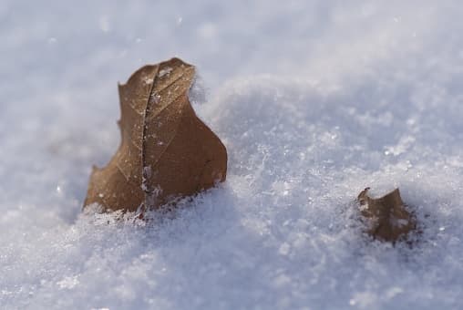 De hecho, el NWS emitió la tarde de este viernes una vigilancia por tormenta invernal para condados del sur del Metroplex hasta el lunes 6am.
<br>