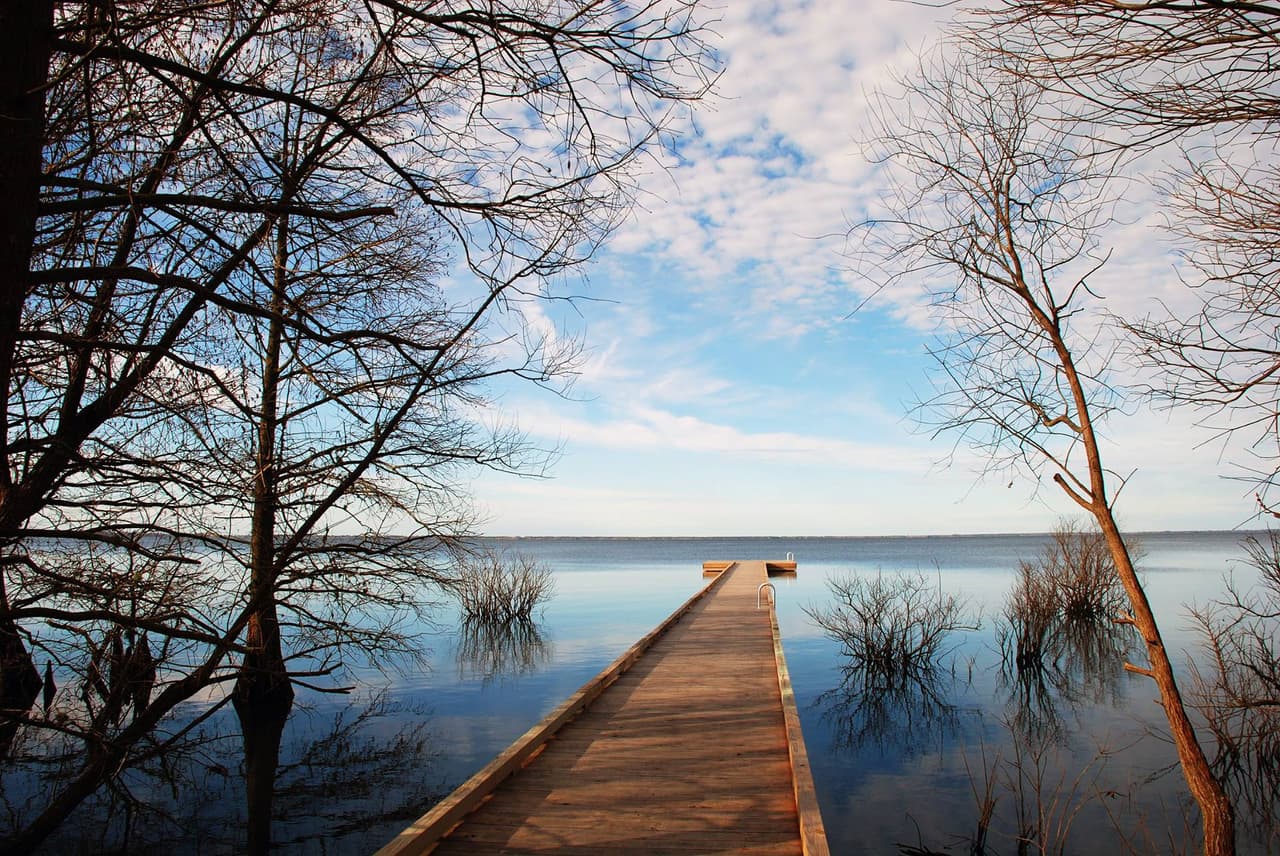 <b>Pettigrew State Park</b>
<br>
<b>Sitio web</b>:
<a href="https://www.ncparks.gov/state-parks/pettigrew-state-park">https://www.ncparks.gov/state-parks/pettigrew-state-park</a>
<br>
<b><a href="https://maps.app.goo.gl/FFcybkELtm3pEA9R7">Cómo llegar</a> </b>
<br>
<br>Este parque está ubicado en Creswell y es conocido por sus vistas panorámicas del río Tar y el lago Phelps. El parque ofrece rutas de senderismo, pesca, paseos en bote y oportunidades para hacer picnic.