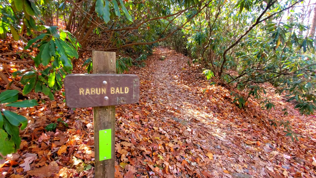 Ahí comienza el sendero.
