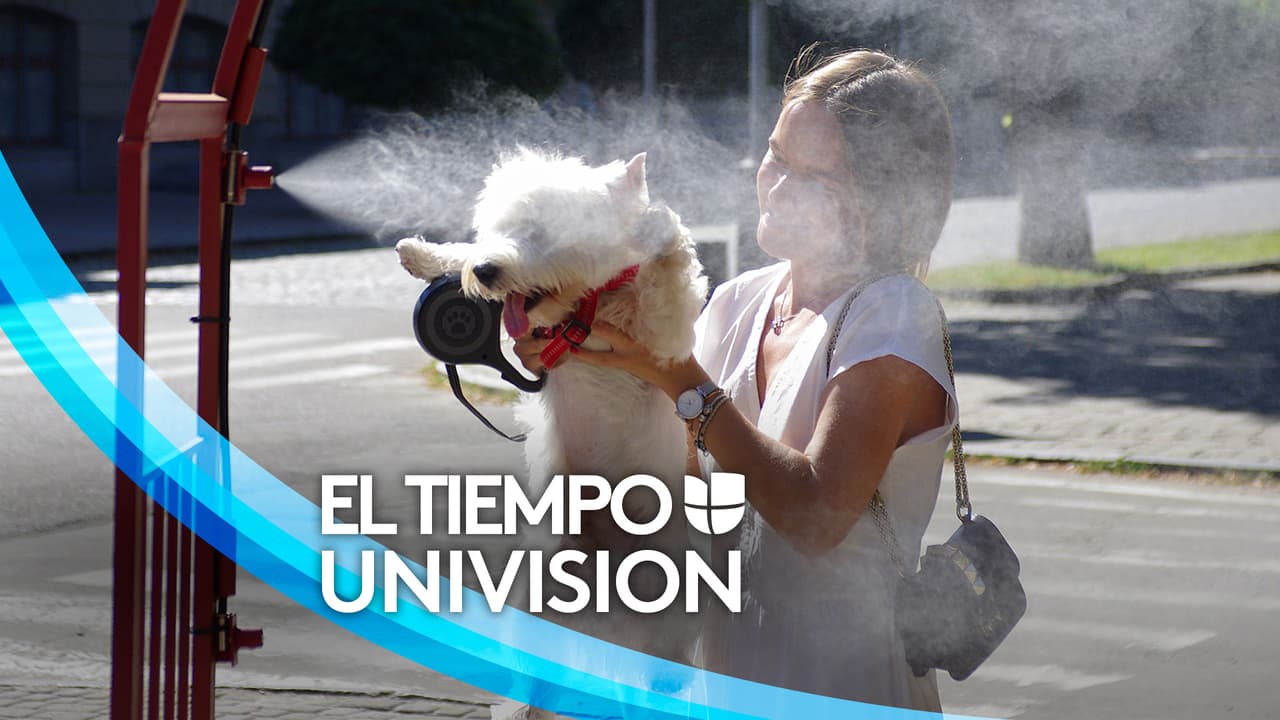 Planifica tu fin de semana: así estará el pronóstico del tiempo para este viernes en Los Ángeles