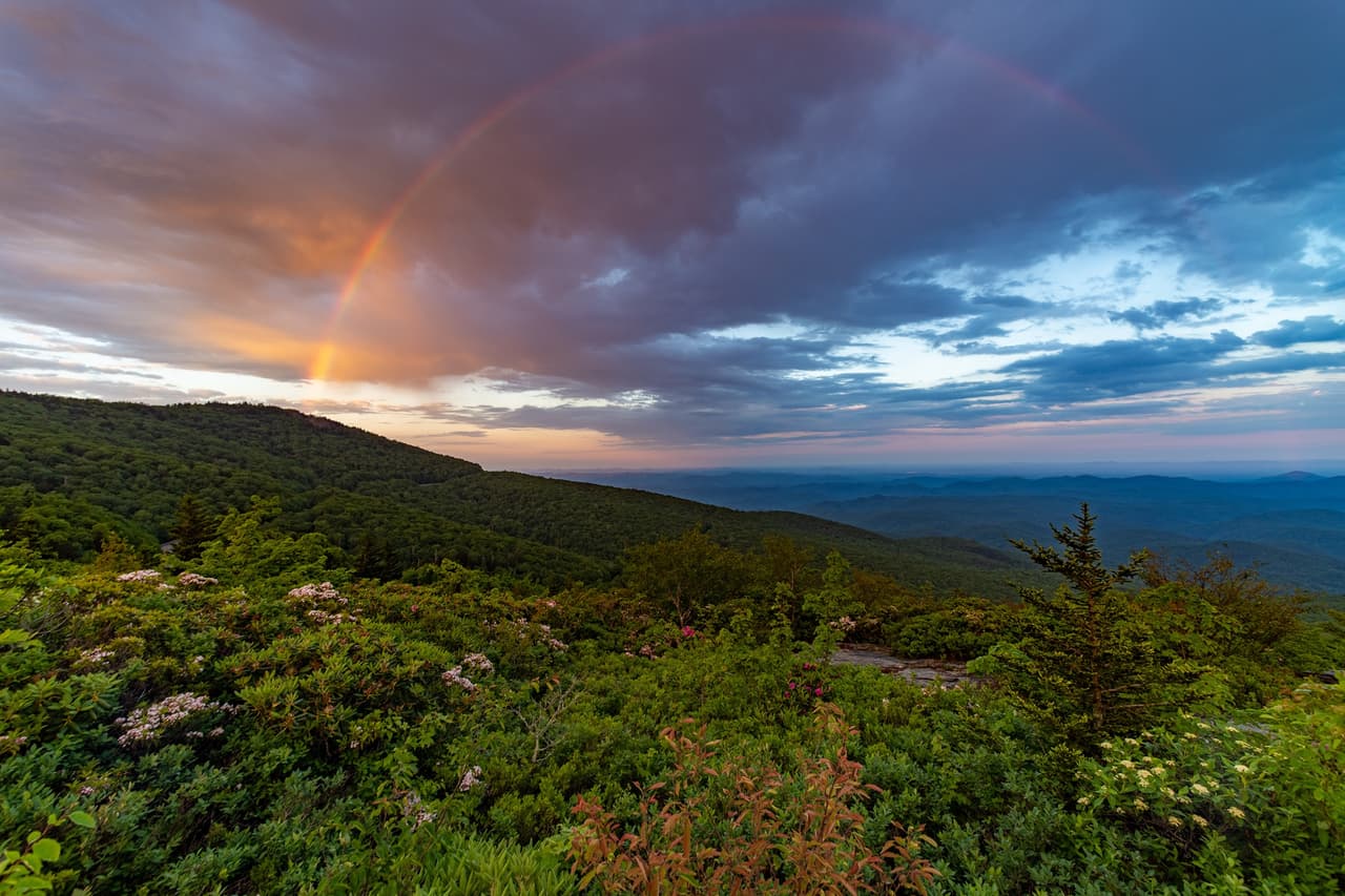 <b>DISFRUTA DE LAS MONTAÑAS Y LO QUE TIENEN PARA OFRECER</b>: En y alrededor de la artística Spruce Pine, una ciudad de montaña junto a Blue Ridge Parkway, los visitantes encontrarán cientos de estudios, galerías y tiendas de regalos.