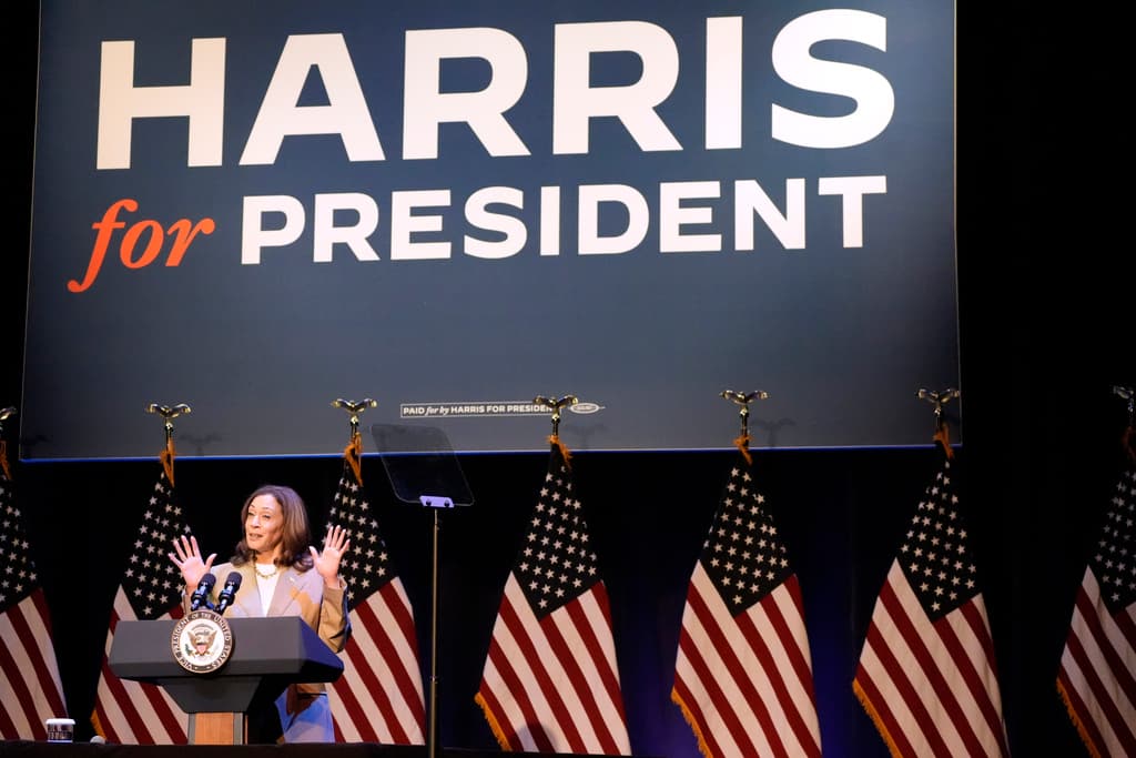 De las “mujeres negras ganan” a los “jóvenes blancos con Kamala Harris”, la estrategia que recauda millones