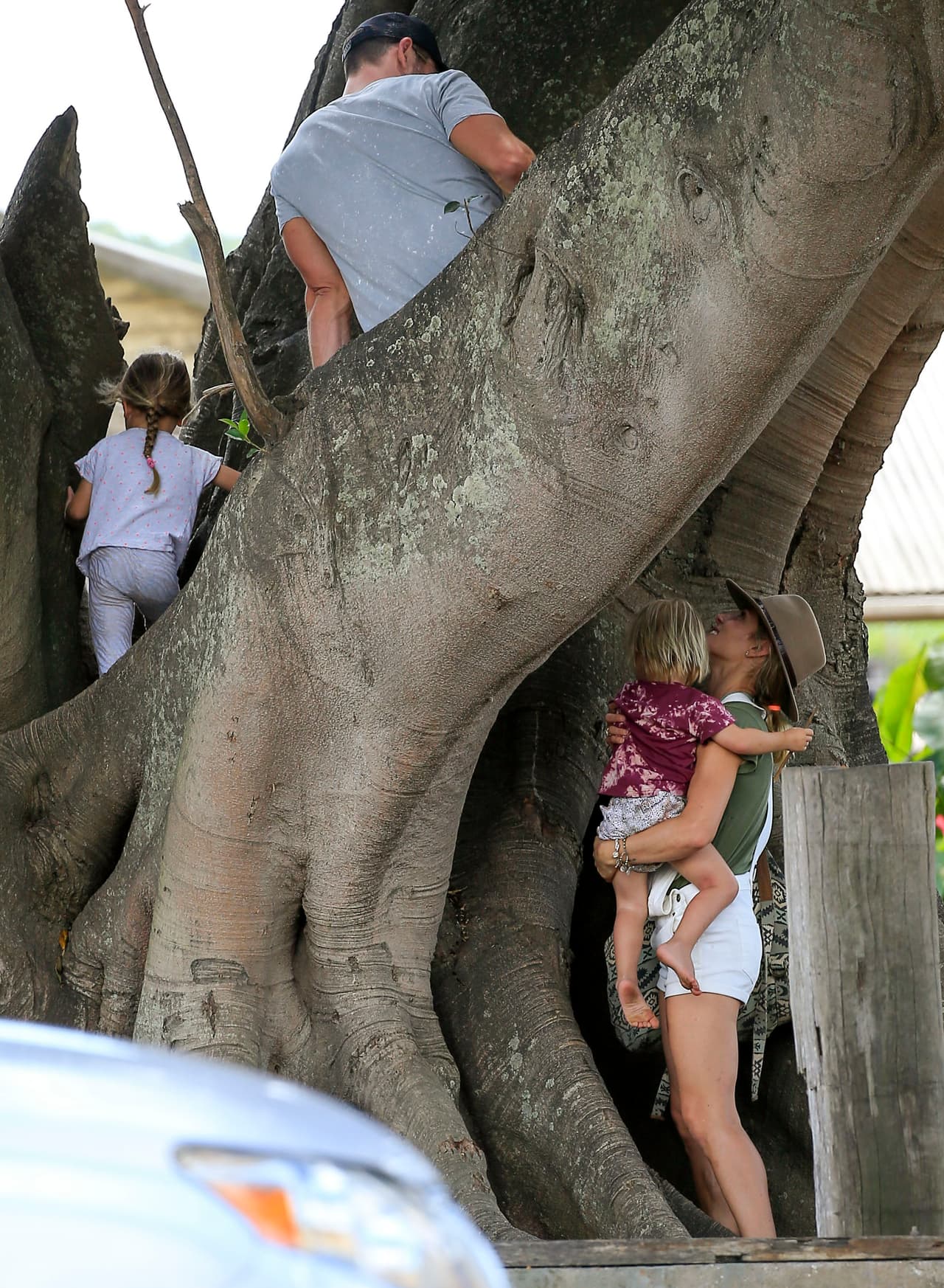 ¡A escalar el árbol!