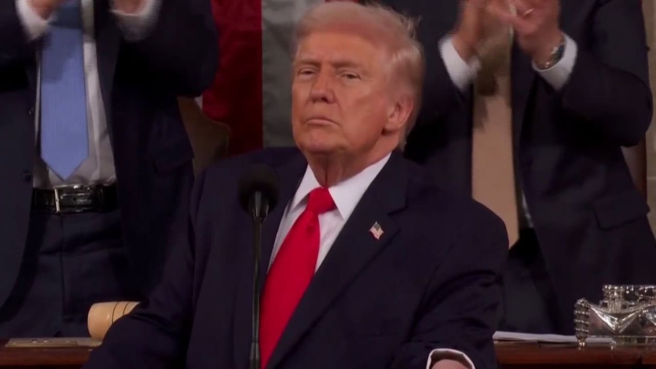 Donald Trump habla sobre licencias a conductores indocumentados