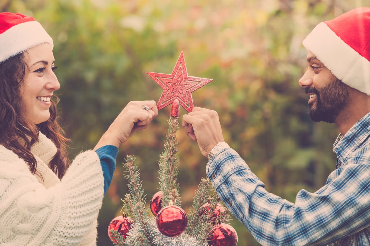 <b>Sogas y estacas de plástico</b>
<br>Sogas y estacas para césped ayudan a sujetar las decoraciones sueltas y ajustarlas mejor a tu jardín. Las bridas de plástico también son ideales para atar tus luces navideñas y evitar que se muevan, especialmente cuando hay mucho viento.