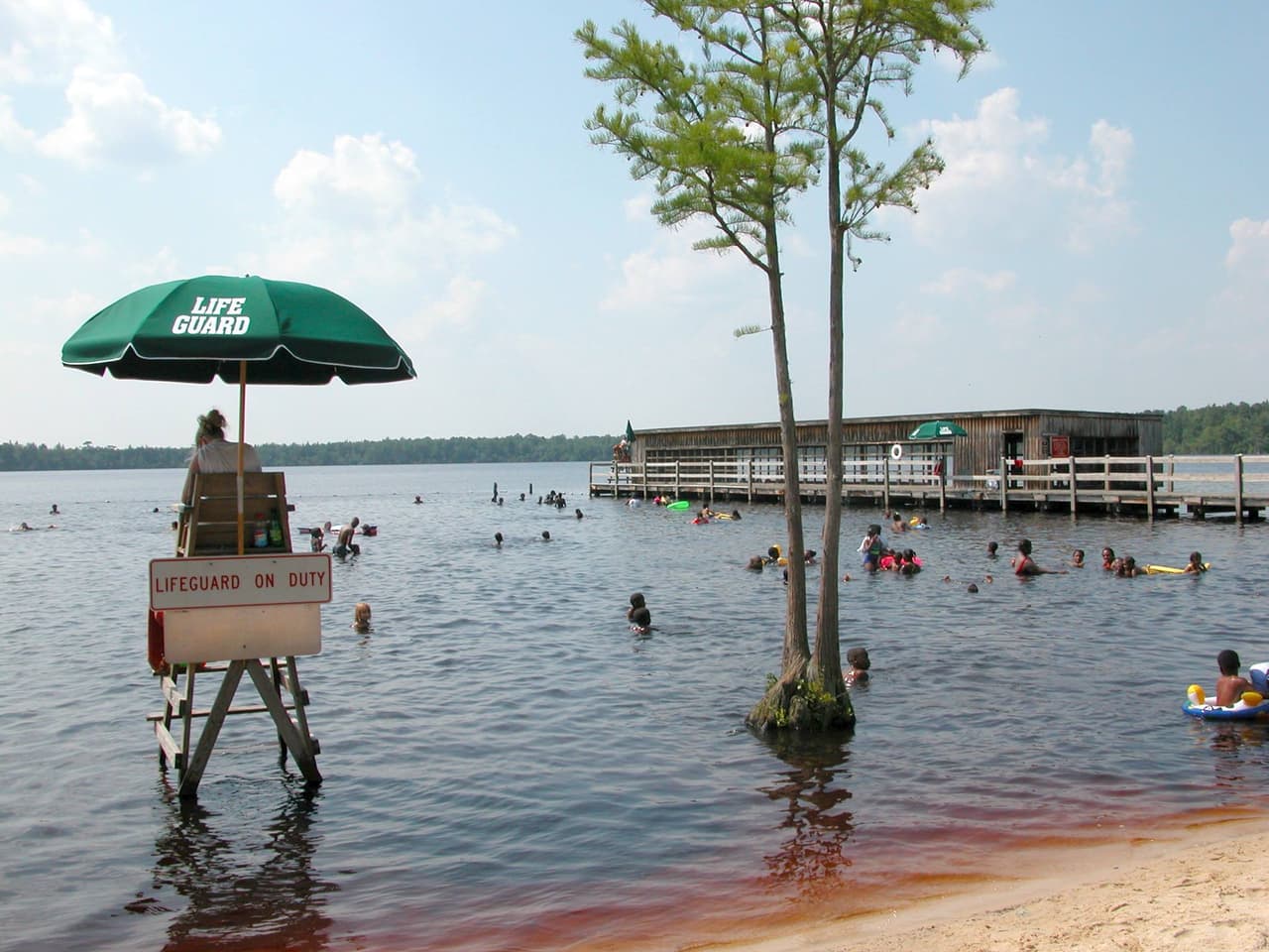 <b><a href="https://stateparks.com/jones_lake_state_park_in_north_carolina.html" target="_blank">Jones Lake State Park</a></b>
<a href="https://stateparks.com/jones_lake_state_park_in_north_carolina.html" target="_blank">.</a> En este parque de 2,308 acres puedes apreciar las bahías de Carolina (humedales superficiales), uno de los grandes misterios geológicos del este de Estados Unidos. Los entusiastas de las actividades al aire libre pueden disfrutar de un sendero de cuatro millas que recorre el lago de la bahía y de otras actividades acuáticas en las aguas poco profundas. Los campamentos están equipados con parrillas y mesas de picnic y cuentan con servicio de agua. En verano, puedes explorar la zona en canoa y bote de remos.