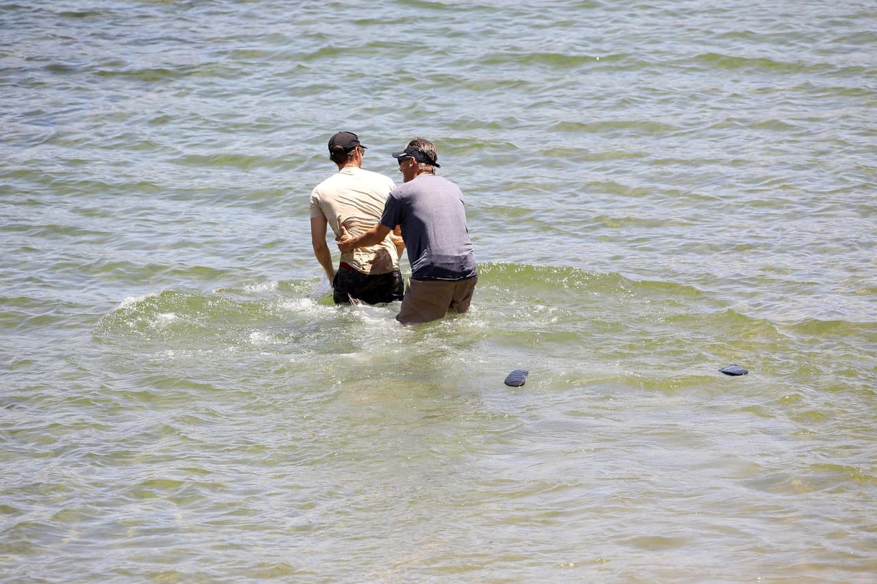 <b><a href="https://twitter.com/druidDUDE" target="_blank">Kevin Hale</a></b> también tuiteó el domingo 12 de julio: "
<b><a href="https://twitter.com/druidDUDE/status/1282439257768919040" target="_blank">No puedo entender</a></b> lo que la familia de Naya debe estar sintiendo. Sé que el resto de nosotros estamos completamente destrozados, pero no sin esperanza".
<br>