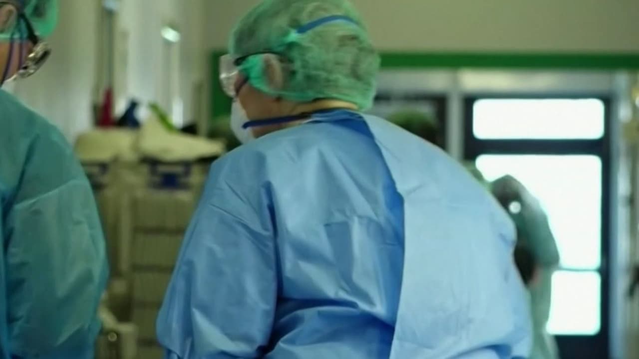 ¿Cuánto tiempo tarda en aparecer el hantavirus? Síntomas y periodo de incubación