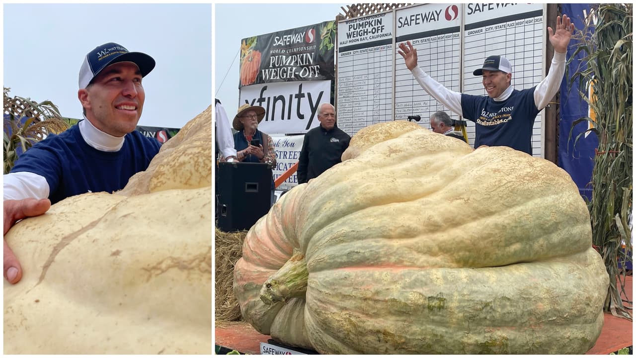 En California rompen el récord de la calabaza más grande de EEUU; pesa más de 2,500 libras